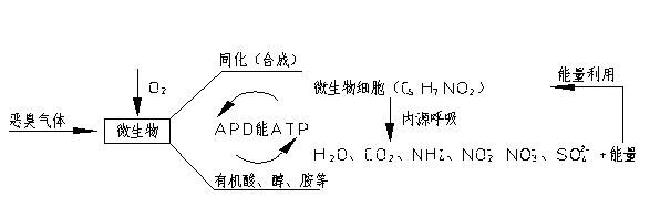 生物除臭設備